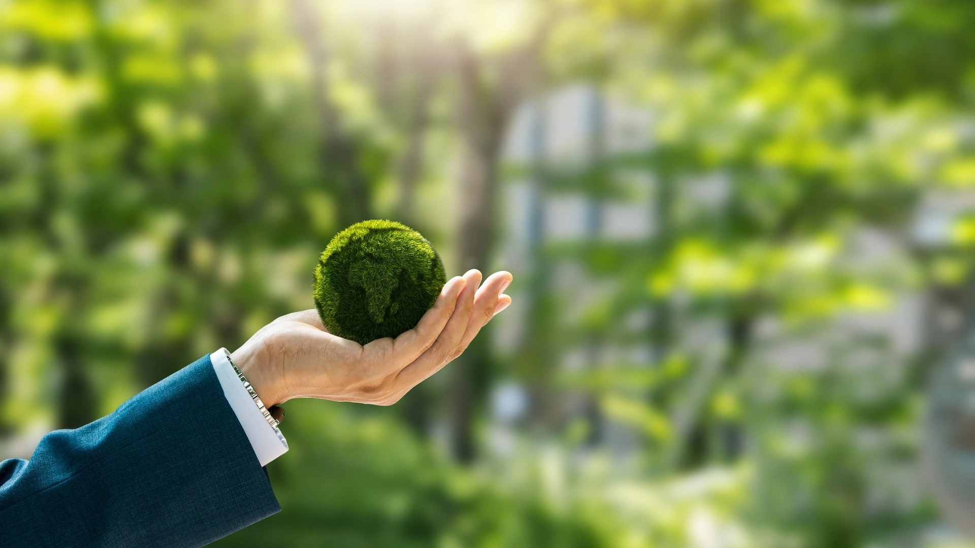 sustainability section image